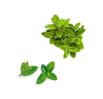 lipbalmherbal čo obsahuje 1085x1050 eu