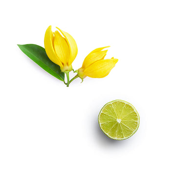 lipbalmtropical čo obsahuje 1085x1050 eu