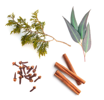 doTERRA Harvest Spice zloženie