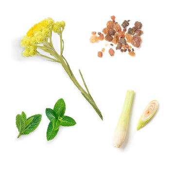doTERRA sun balzam na pery