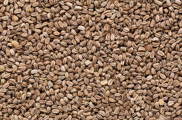 Zelerové semeno (Celery Seed)