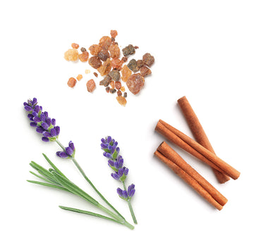 doTERRA anchor zmes esenciálnych olejov čo obsahuje