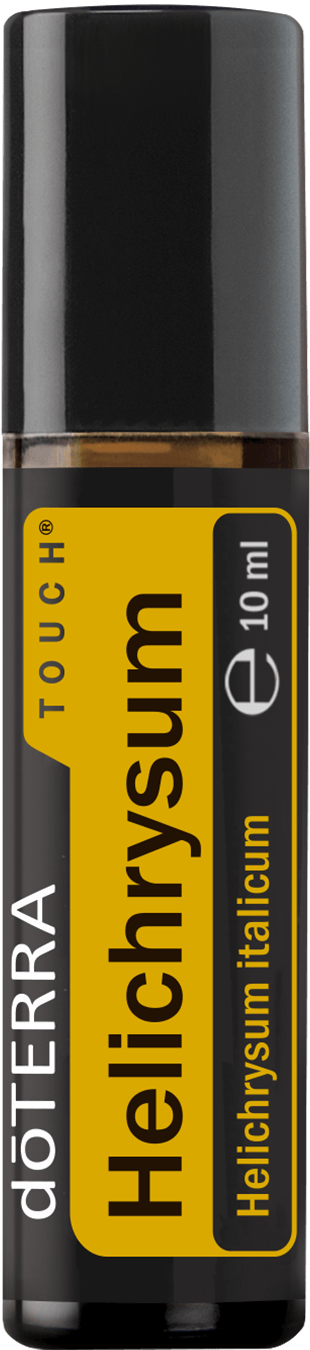 Helichrysum touch veľký 310x1350 eu