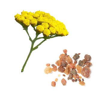 doTERRA balance touch zloženie