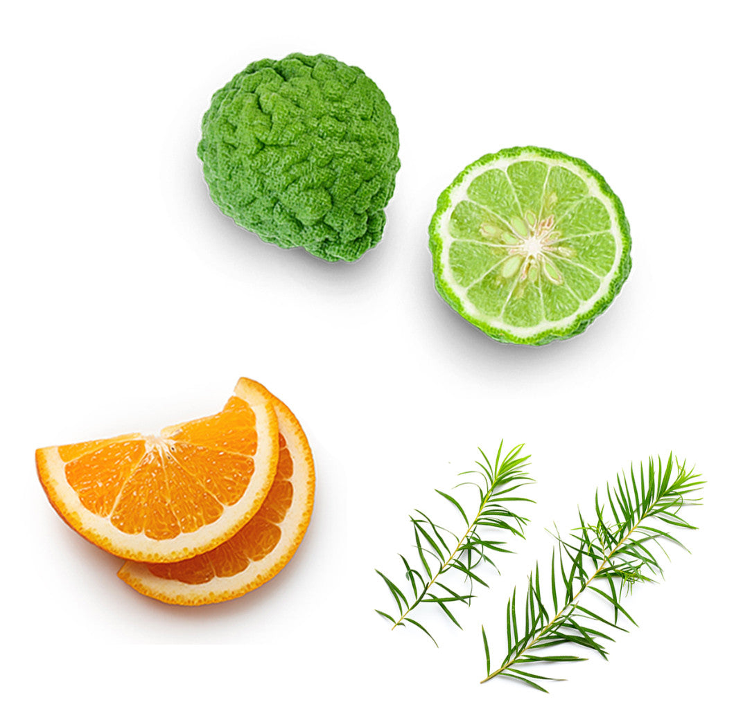 hope new whats inside 1085x1050 eu