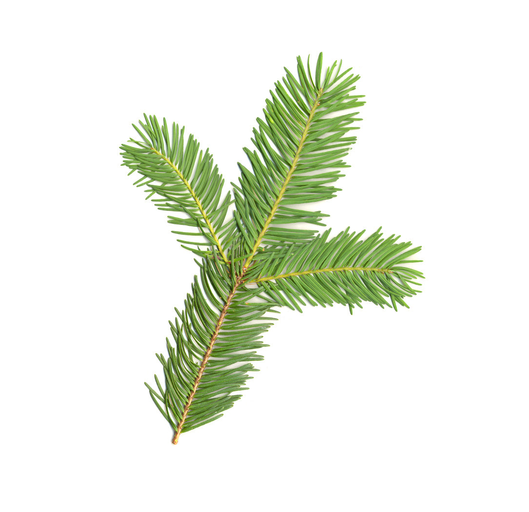 gentledeodorant whats inside 1085x1050 eu