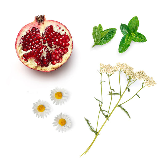 yarrowpomserum whats inside 1085x1050 eu