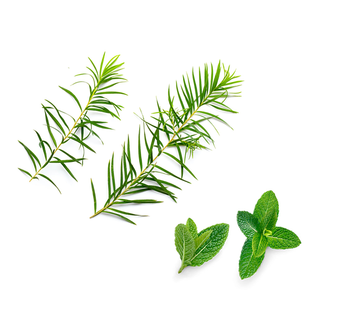 facialcleanser čo obsahuje 1085x1050 eu