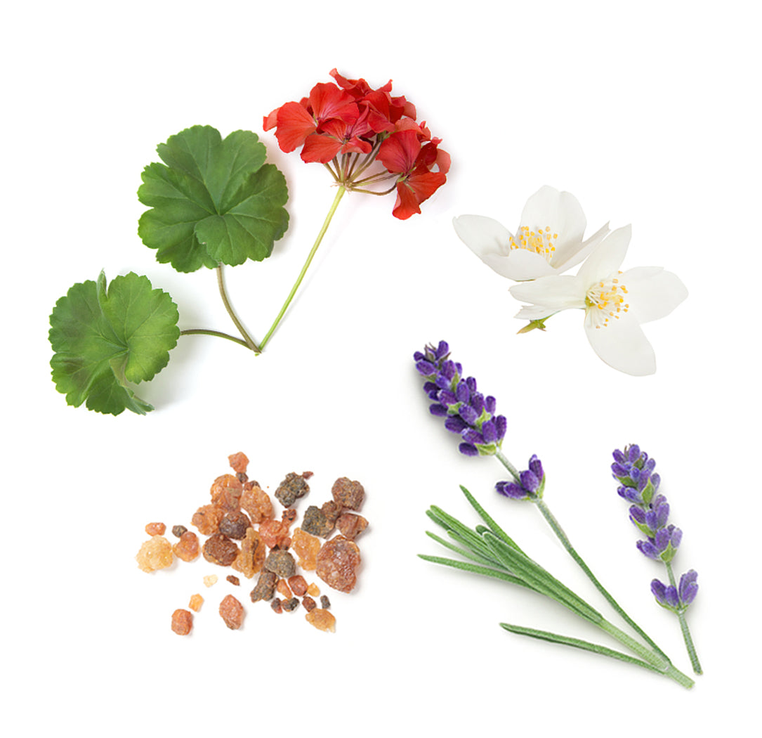 60203368 doTERRA hydratačný krém zloženie