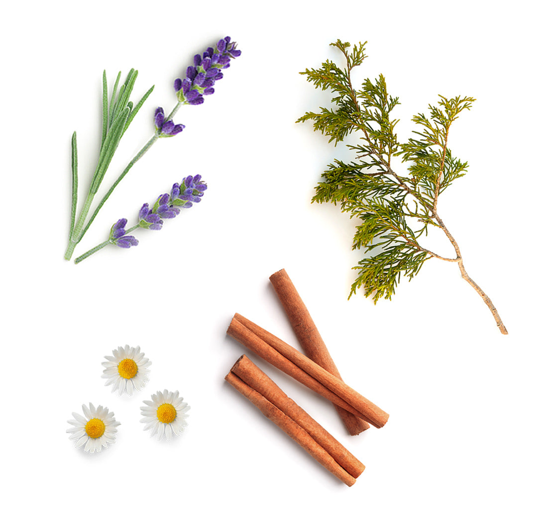 serenity bath bar whats inside 1085x1050 v2 eu