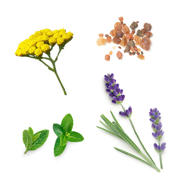 doTERRA Sun telový sprej po opaľovaní – zloženie