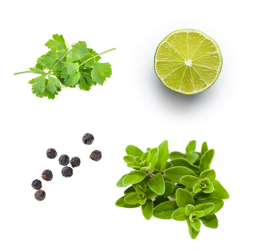 Zmes mexických chutí 15 ml