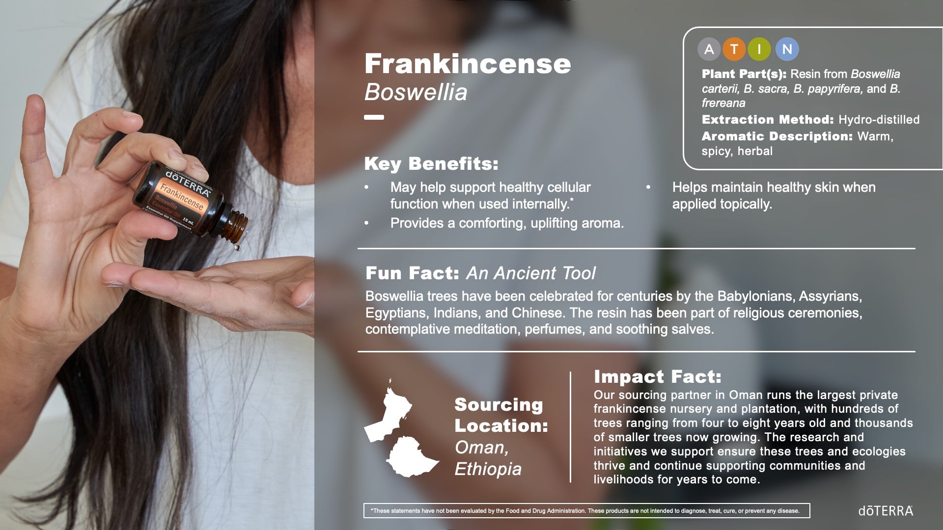 Frankincense (1)