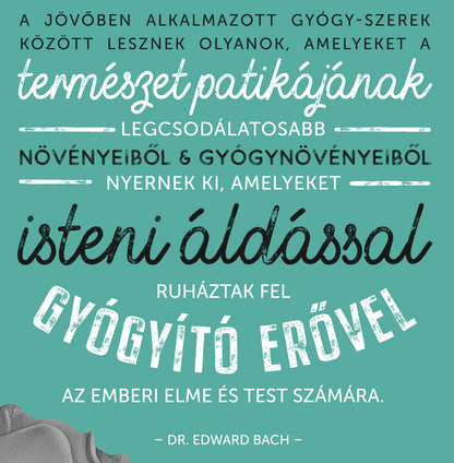 Beliv – podtitulná strana