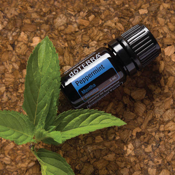 Mäta pieporná doTERRA