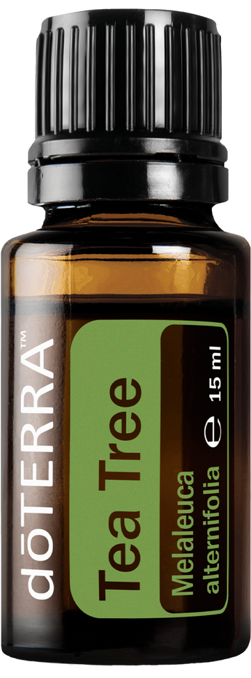 doTERRA Čajovník (Tea Tree) esenciálny olej 15 ml