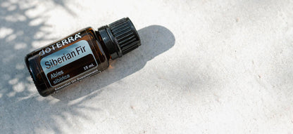 1600x733 siberian fiSibírska jedľa - siberian firr hlavička