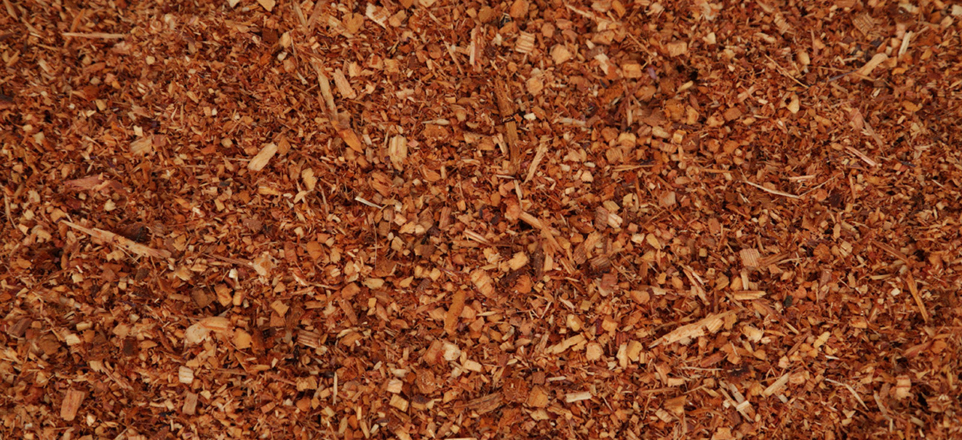 Doterra Vörös cédrus (Cedarwood) illóolaj 15 ml