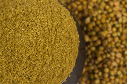 Koriander - coriander