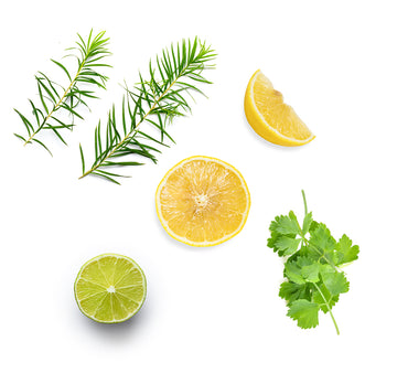 doTERRA purify zmes esenciálnych olejov čo obsahuje
