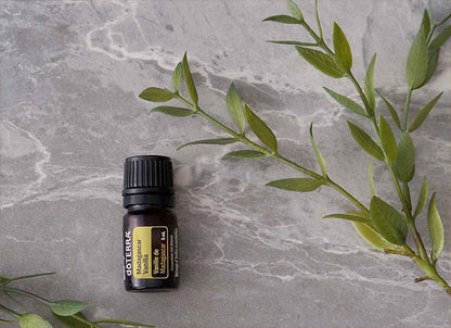 Madagascar Vanilla Header Mobile 02