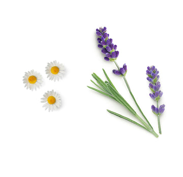 doTERRA detský šampón a sprchový gél zloženie