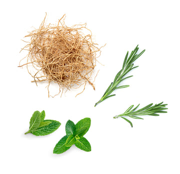 doTERRA thinker zloženie