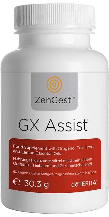 gx Assist veľký 680x1350px eu