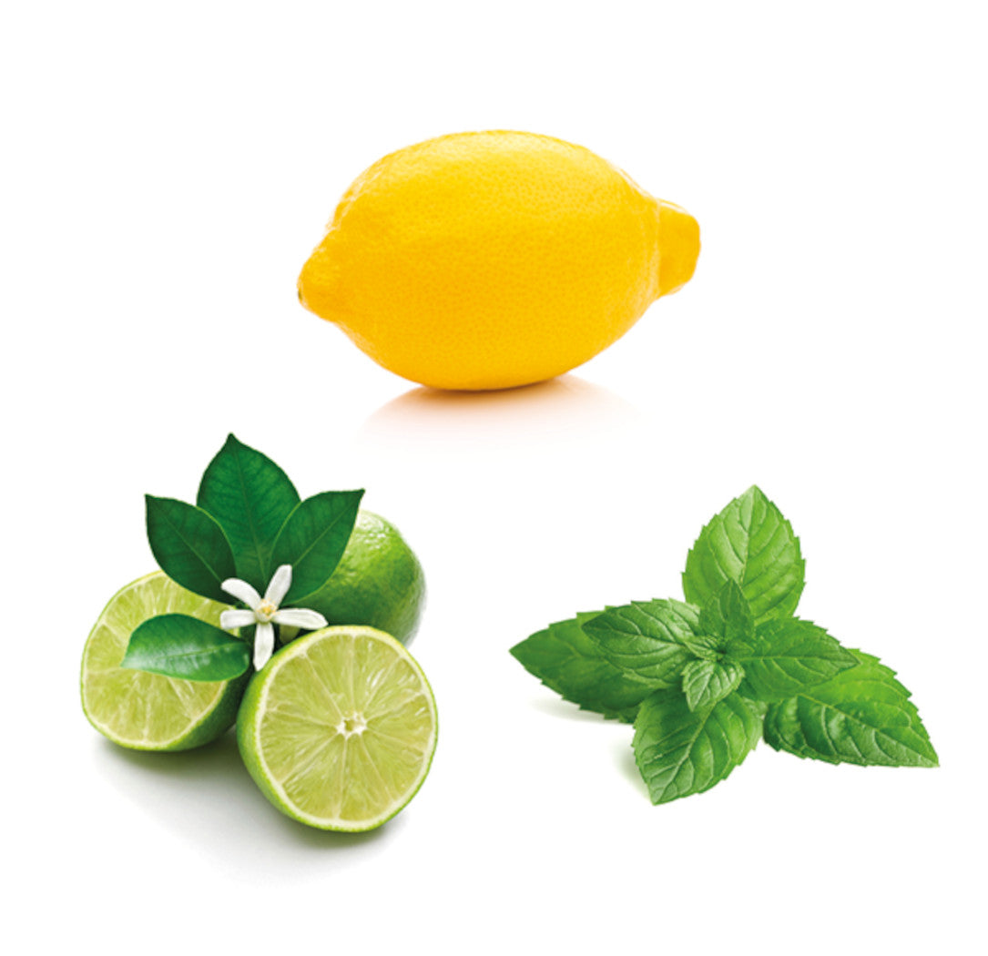 Island Mint olajkeverék 15 ml - doTERRA